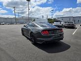 Thumbnail of 2019  Ford Mustang