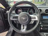Thumbnail of 2019  Ford Mustang