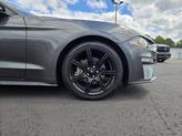 Thumbnail of 2019  Ford Mustang