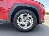 Thumbnail of 2023 Calypso Red Hyundai TUCSON