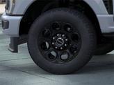 Thumbnail of 2025 Glacier Gray Metallic Ford F-350