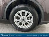 Thumbnail of 2023 Cinnabar Red Metallic Ford Escape