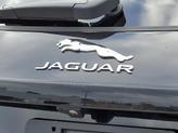 Thumbnail of 2025 Santorini Black Metallic - 1AG Jaguar F-PACE