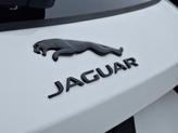 Thumbnail of 2026 Fuji White Jaguar F-PACE
