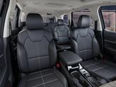 Thumbnail of 2025 Metal Kia Telluride