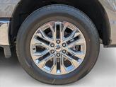 Thumbnail of 2025 Marsh Gray Ford F-150