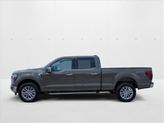 Thumbnail of 2025 Marsh Gray Ford F-150