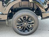 Thumbnail of 2025 Black Ford F-150