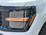 Thumbnail of 2024 Avalanche Gray Ford F-150