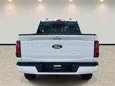 Thumbnail of 2025 Oxford White Ford F-150