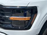 Thumbnail of 2025 Oxford White Ford F-150