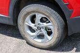 Thumbnail of 2023 Calypso Red Hyundai TUCSON