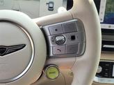 Thumbnail of 2024 Vik Black Genesis GV60