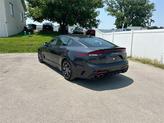 Thumbnail of 2023 Panthera Metal Kia Stinger