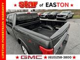 Thumbnail of 2020 Gray Ford F-150