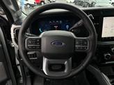 Thumbnail of 2025 Avalanche Ford F-350