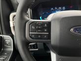 Thumbnail of 2025 Avalanche Ford F-350
