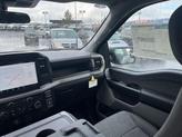 Thumbnail of 2025 Iconic Silver Metallic Ford F-150