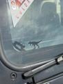Thumbnail of 2005 Black Clearcoat Jeep Wrangler