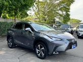 Thumbnail of 2020 Nebula Gray Pearl Lexus NX 300h