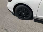 Thumbnail of 2025 Platinum White Pearl Honda Accord