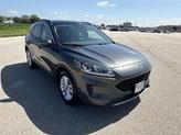 Thumbnail of 2020 Magnetic Ford Escape
