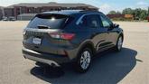 Thumbnail of 2020 Magnetic Ford Escape
