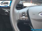 Thumbnail of 2022 White Ford Escape