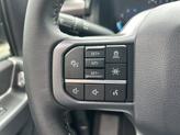 Thumbnail of 2025 Blue Metallic Ford F-150
