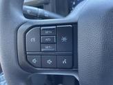 Thumbnail of 2025 White Metallic Ford F-150