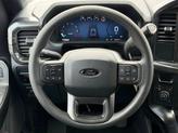 Thumbnail of 2025 Gray Ford F-150