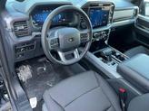Thumbnail of 2025 Gray Ford F-150
