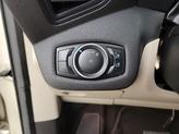 Thumbnail of 2017 Gold Ford Escape
