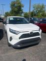 Photo of 2023 Ice Toyota RAV4