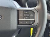 Thumbnail of 2024 Carbonized Gray Metallic Ford F-150