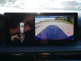 Thumbnail of 2024 Q BALL Dodge Hornet