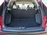 Thumbnail of 2025 Radiant Red Metallic Honda CR-V