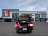 Thumbnail of 2021 Shadow Black Ford Mustang