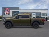 Thumbnail of 2025 Shelter Green Ford F-150