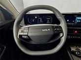 Thumbnail of 2025 Panthera Metal Kia EV6