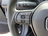 Thumbnail of 2023 Canyon Honda Accord