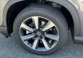Thumbnail of 2025 Gv Honda Pilot