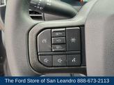 Thumbnail of 2025 Carbonized Gray Metallic Ford F-150