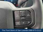 Thumbnail of 2025 Carbonized Gray Metallic Ford F-150
