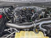 Thumbnail of 2021 Magnetic Metallic Ford Expedition Max