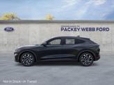 Thumbnail of 2025 Shadow Black Ford Mustang Mach-E