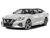 Thumbnail of 2023 Pearl White Tricoat Nissan Maxima