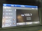 Thumbnail of 2020 Blue Genesis G80