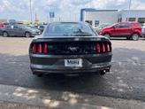 Thumbnail of 2017 Magnetic Metallic Ford Mustang