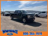 Thumbnail of 2022 Agate Black Metallic Ford F-250